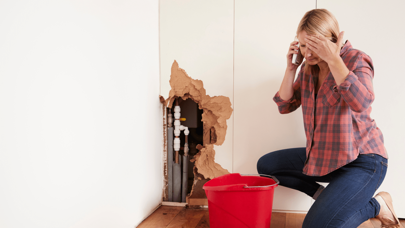5 Things to Look for in a Water Damage Restoration Company