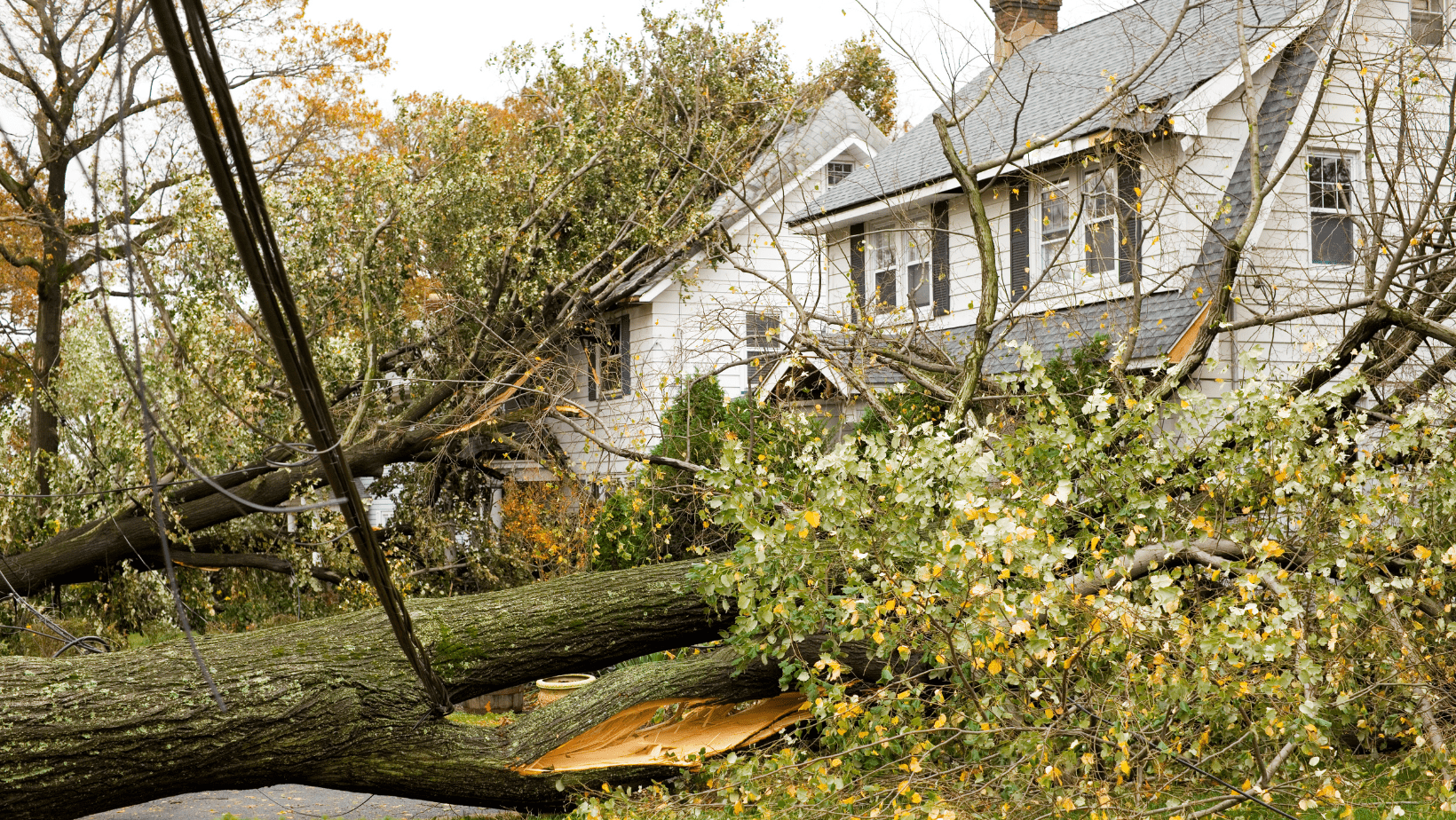 5 Common Types of Hurricane Damage