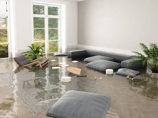 Water Damage Restoration in Tampa