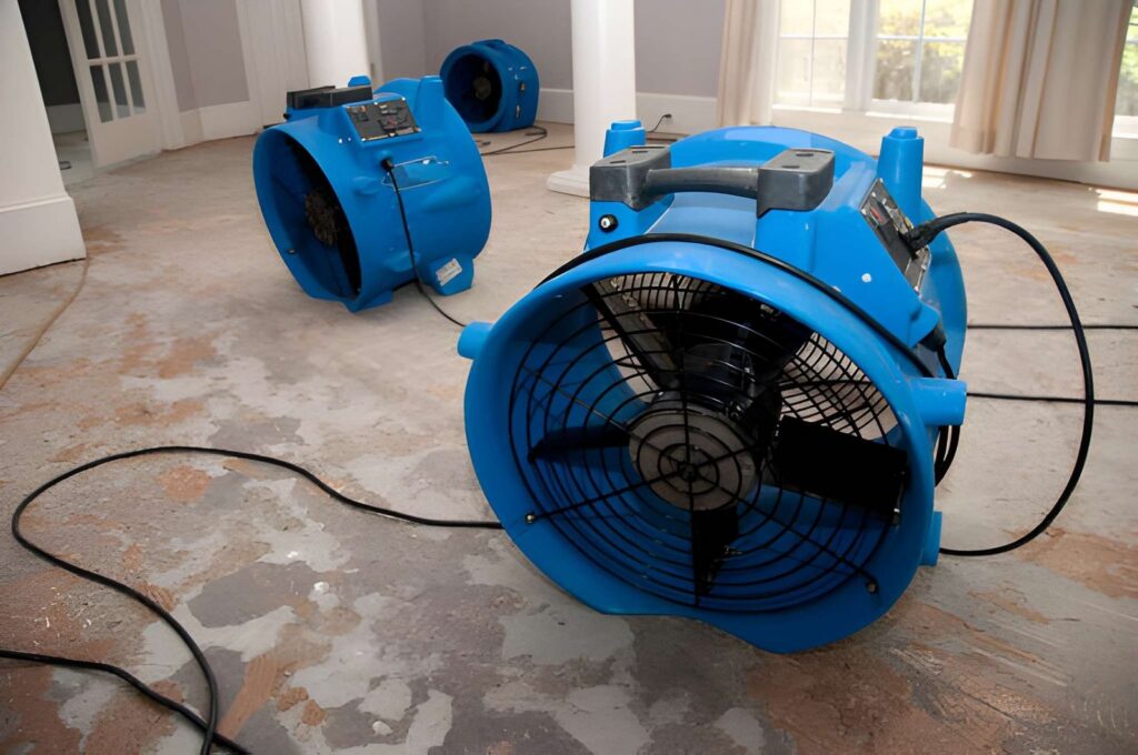 water restoration franchise